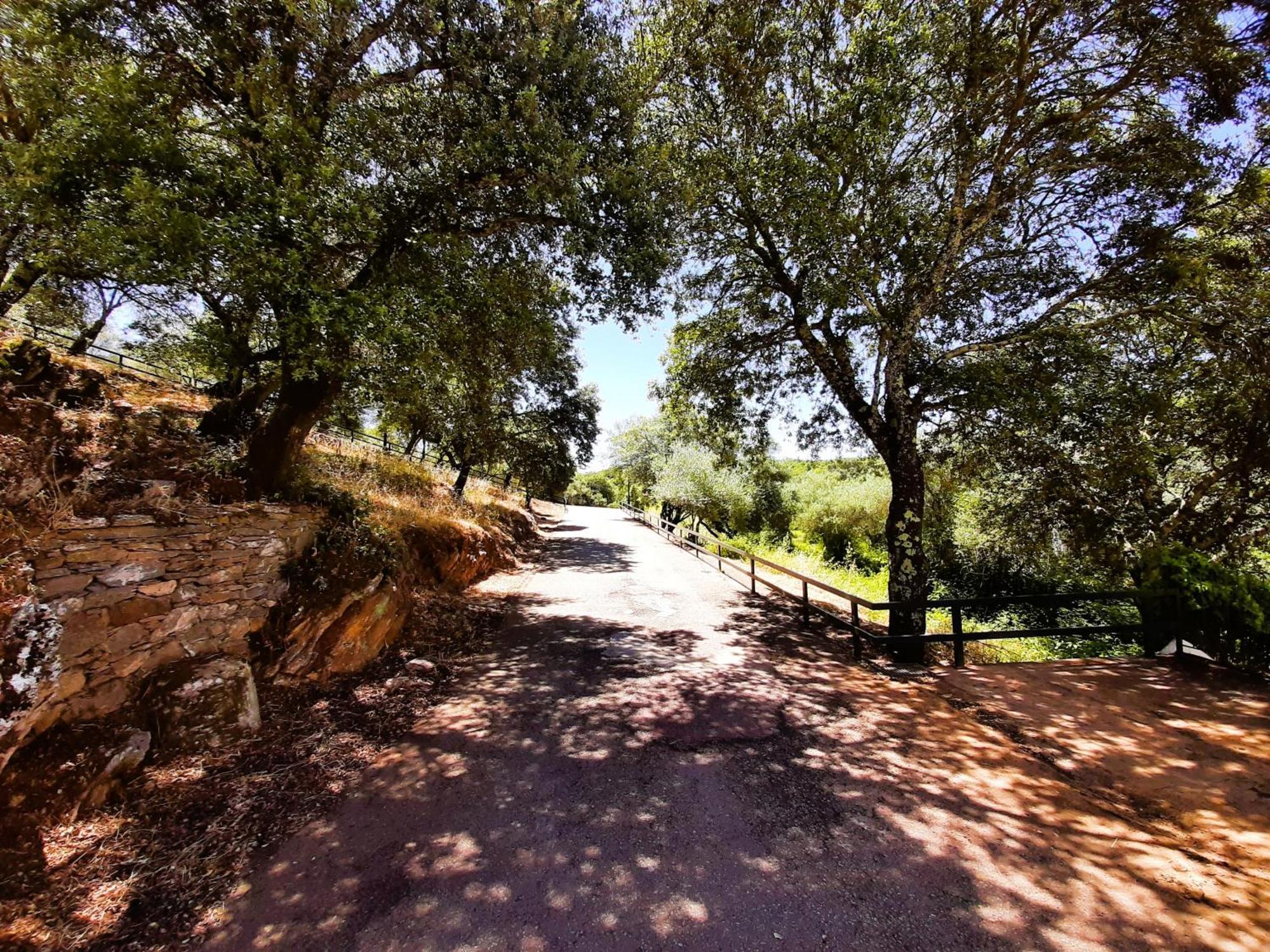 Vivienda Rural Gurumelo Aracena Exterior foto